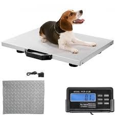 Floor Scale Stainless Steel With Indicator Animal Weigher