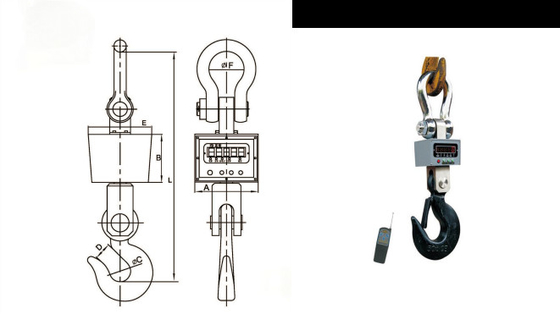 Wireless Crane Scales With Indicator 1 To 50t 450MHz Radio Frequency