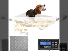 Floor Scale Stainless Steel With Indicator Animal Weigher